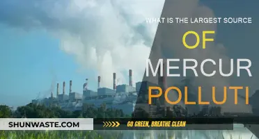 The Dark Side of Mercury Pollution