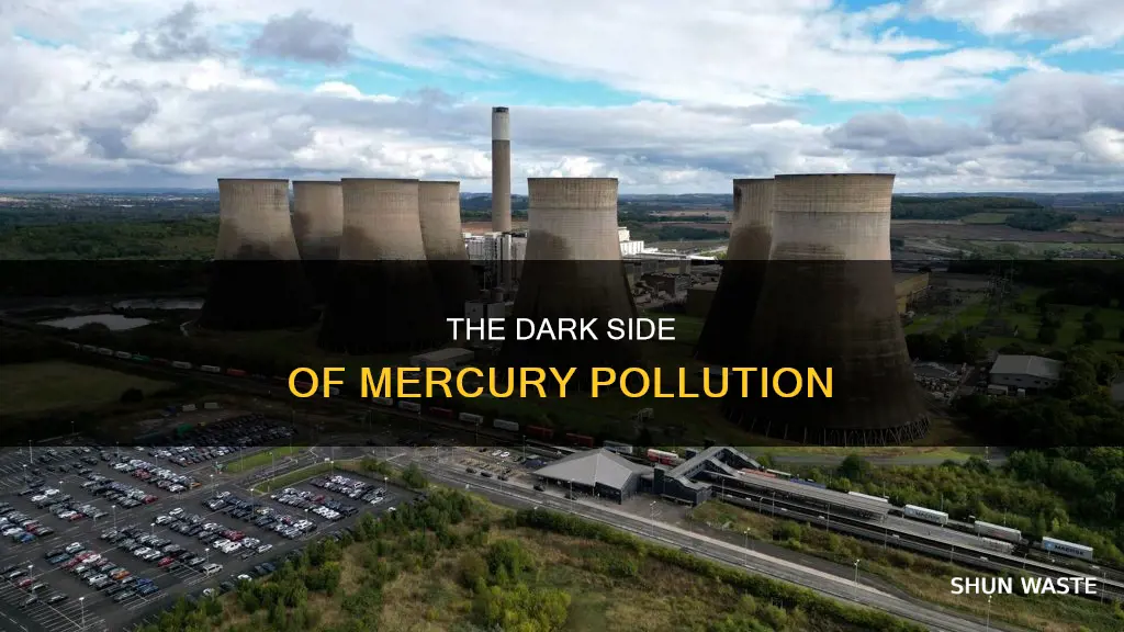 what is the largest source of mercury pollution