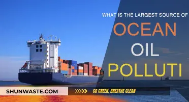 The Devastating Impact of Oil Spills on Our Oceans