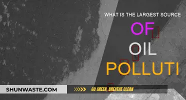 The Deadliest Oil Pollution Source Revealed