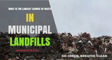 Unveiling the Top Contributor to Municipal Landfill Waste Accumulation