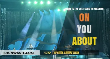 Decoding 'The Last Song I'm Wasting on You': Meaning and Emotion
