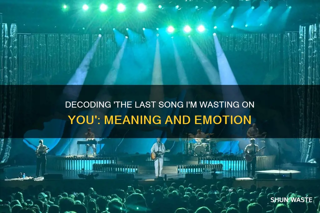 what is the last song im wasting on you about