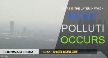 The Polluted Layer: Understanding Earth's Struggles