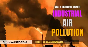 Industrial Air Pollution: The Main Culprit Unveiled