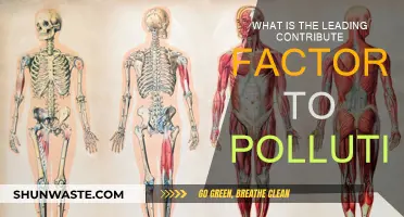 Human Activities: Major Pollution Contributors
