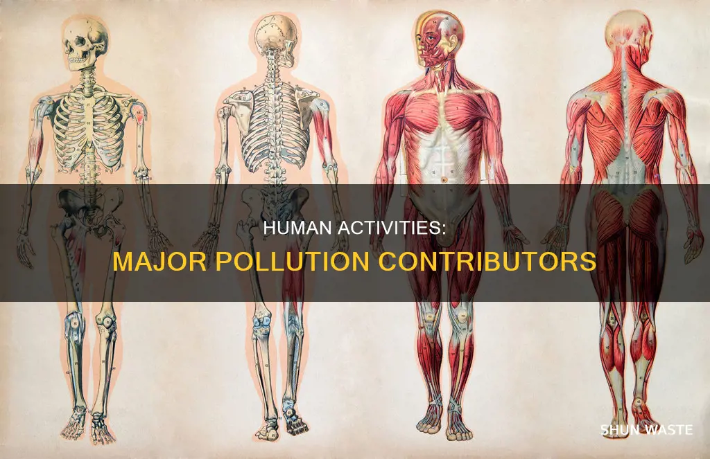 what is the leading contribute factors to pollution