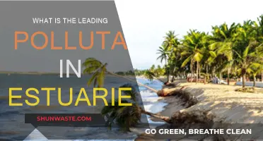 Estuaries: Pollutants and Their Impact