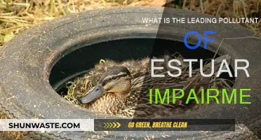 Estuaries: Pollutants and Their Impact