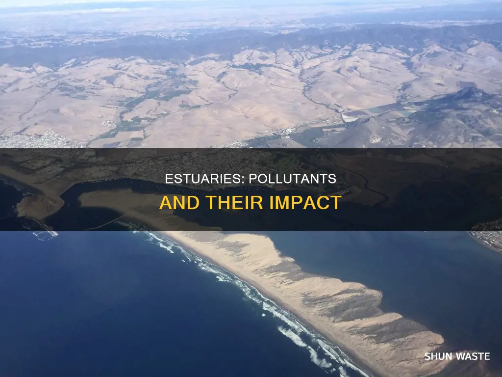 what is the leading pollutant of estuary impairment