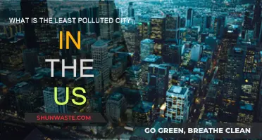 Cleanest US Cities: Where's the Freshest Air?
