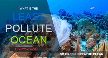 Which Ocean is the Cleanest?