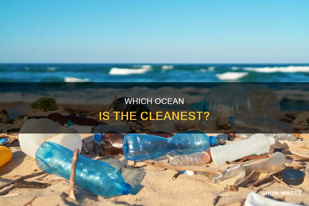 what is the least polluted ocean