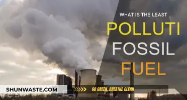 Greenest Fossil Fuels: What's the Cleanest Energy Source?