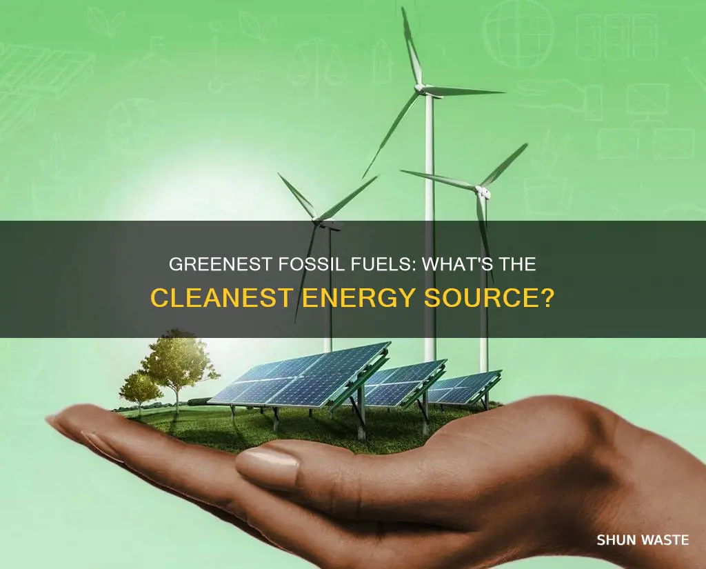 what is the least polluting fossil fuel