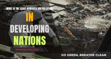 Air Pollution Crisis: Least Removed Toxins in Developing Nations