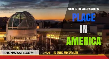 America's Greenest City: Unveiling the Nation's Least Wasteful Urban Haven