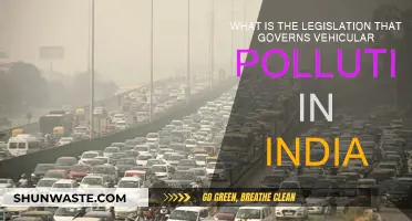 Vehicular Pollution: India's Laws and Regulations