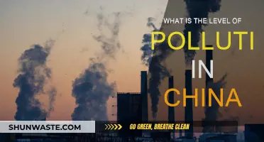 China's Pollution Crisis: A Comprehensive Overview