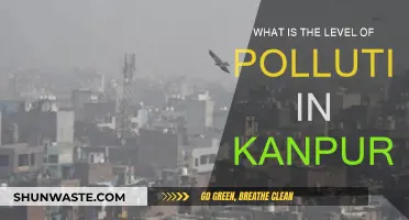 Kanpur's Pollution: A City's Toxic Reality