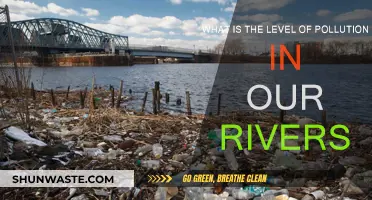 Polluted Rivers: Understanding the Toxic Truth