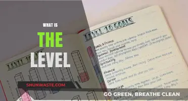 Levels of Success: Strategies for Achieving Your Goals