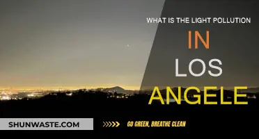 Light Pollution in LA: A Dark Problem