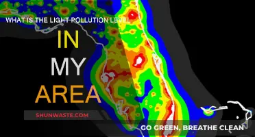 Light Pollution: Understanding Your Area's Visibility