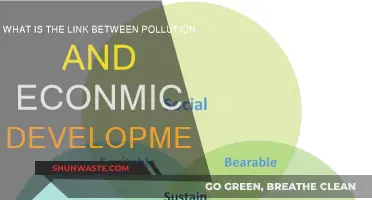 Pollution and Economic Development: Exploring the Link