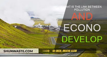 Pollution-Economic Development Link: A Complex Relationship
