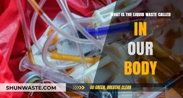 Understanding the Body's Liquid Waste: What is it Called?