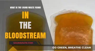 Understanding Blood Plasma: The Vital Liquid Waste in Your Bloodstream