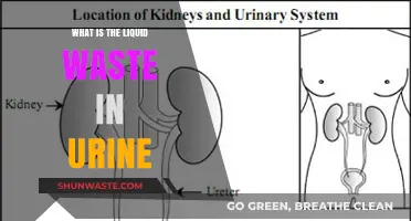 Understanding Urine Composition: The Role and Impact of Liquid Waste