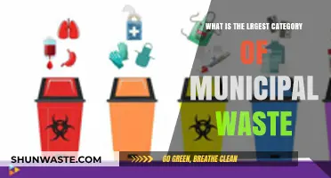 Understanding the Largest Category of Municipal Waste: Sources and Solutions