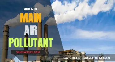 Air Pollutants: Understanding the Main Culprit