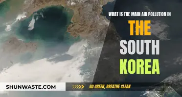 Air Pollution in South Korea: A Complex Issue