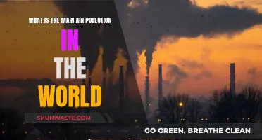Air Pollution: The World's Deadliest Crisis