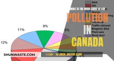 Canada's Air: Unveiling the Hidden Culprits Behind Pollution