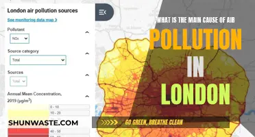 London's Air: Unveiling the Hidden Culprits Behind Pollution