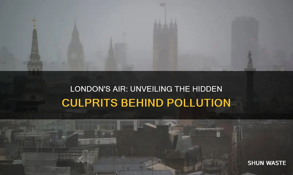 what is the main cause of air pollution in london