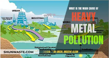 Unveiling the Hidden Sources: Understanding Heavy Metal Pollution