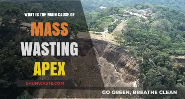 Understanding the Primary Trigger of Mass Wasting: Key Factors Explained