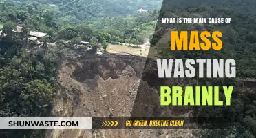 Understanding Mass Wasting: Key Causes and Contributing Factors Explained