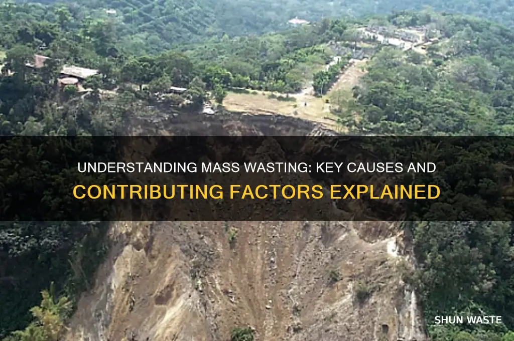 what is the main cause of mass wasting brainly