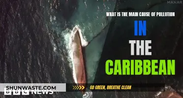 Caribbean's Pollution Crisis: Unveiling the Hidden Culprits