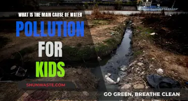 Unveiling the Hidden Culprits: Why Water Pollution Matters