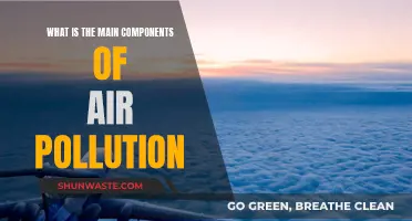 Air Pollution: Understanding Its Key Components