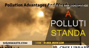 Pollution Standards: Limitations and Their Drawbacks