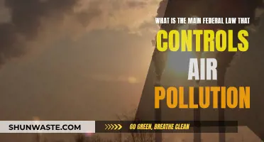Air Pollution: Federal Law and Control
