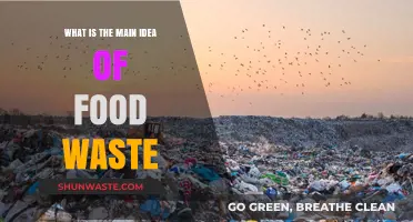Understanding Food Waste: A Comprehensive Guide to Its Impact and Solutions